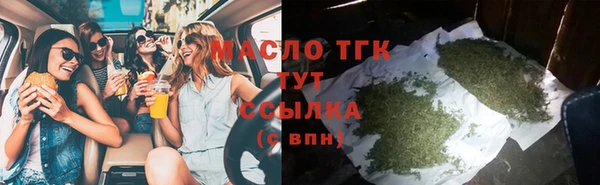 хмурый Бородино