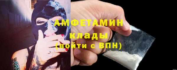 хмурый Бородино