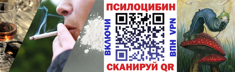купить наркоту  Шумерля  МЕГА сайт  Псилоцибиновые грибы прущие грибы 